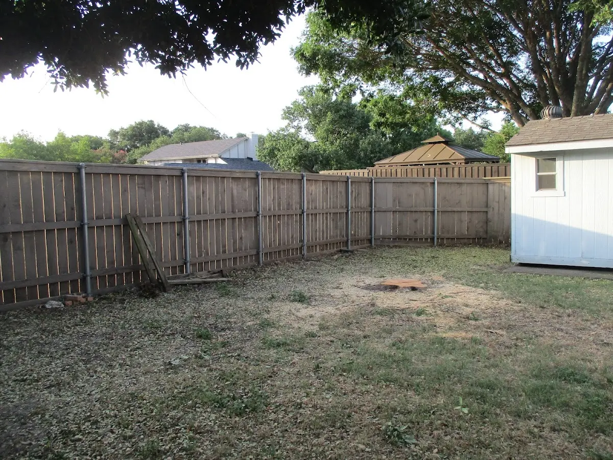 Cleared yard after professional tree removal in Pierceville